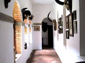 Corridor in Safari style