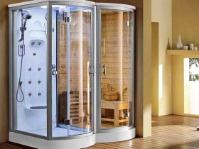 Sauna with shower cubicle