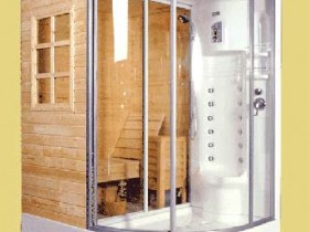 Sauna with shower cubicle
