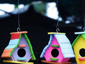Turli soyalar Birdhouses 