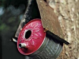 Birdhouse out of old watering cans