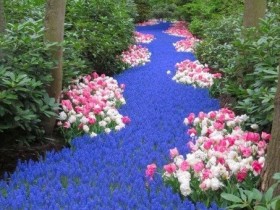 Artificial river of flowers