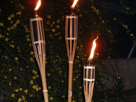 The torches in the garden