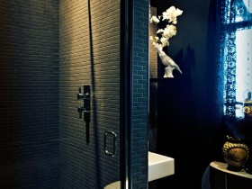 Shower Cabinet dark color