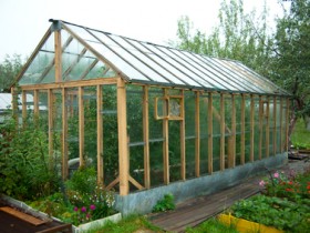 Greenhouse at the dacha with his hands