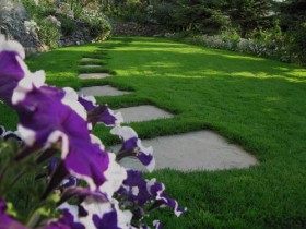 Combined garden path: grass with natural stone