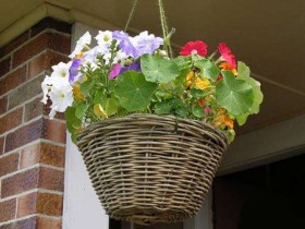 Hanging basket with flowers