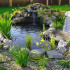 The choice of aquatic plants for pond: photo + particular care