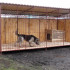 How to build an aviary for a dog with their hands?