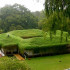 The green roof: the essence, advantages, the deficiencies and the necessary materials to create