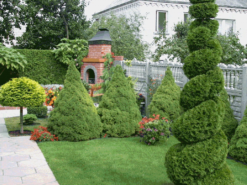 Растительные скульптуры в саду.