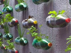Вертикальное озеленение сада в пластмассовых бутылках