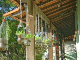 Вертикальное озеленение с помощью пластиковых бутылок