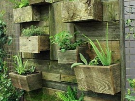 Вертикальное озеленение с помощью деревянных контейнеров