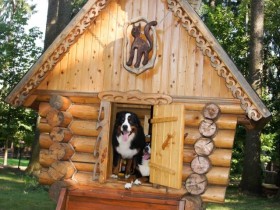 Роскошная будка для собаки со сруба