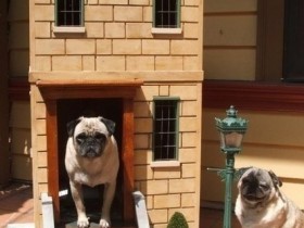 Двухэтажная кирпичная будка для собакиДвухэтажная кирпичная будка для собаки