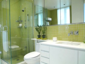 Ванная комната зеленого окраса