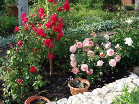 Розарий в садовом декоре