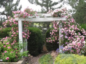 Белая садовая арка в розах