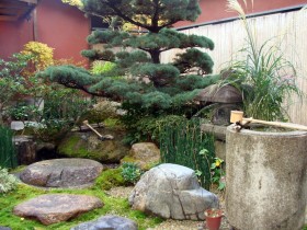 Растения в японском саду