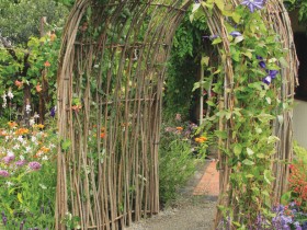 Самодельная арка в саду из лозы