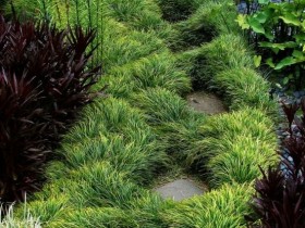Травяная садовая дорожка с плиткой