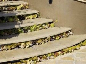 Бетонная садовая лестница с цветами