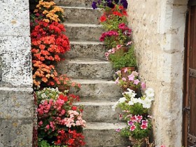 Садовая лестница из бетона